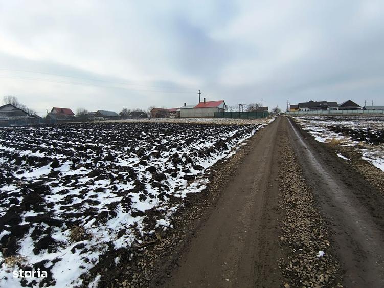 Teren 991 MP | Moara Nica | 22 ml Deschidere | Utilita?i | 38.000 - 10