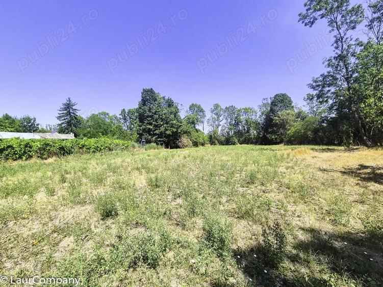 Casa , teren intravilan Urlueni Barla Arges - 15