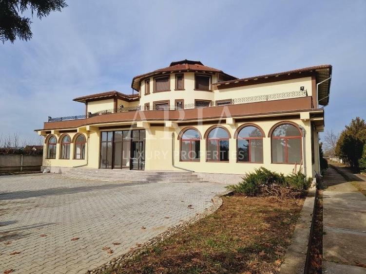 VANZARE VILA | HALA IN VLADICEASCA | SNAGOV | 10.500 MP TEREN - 1