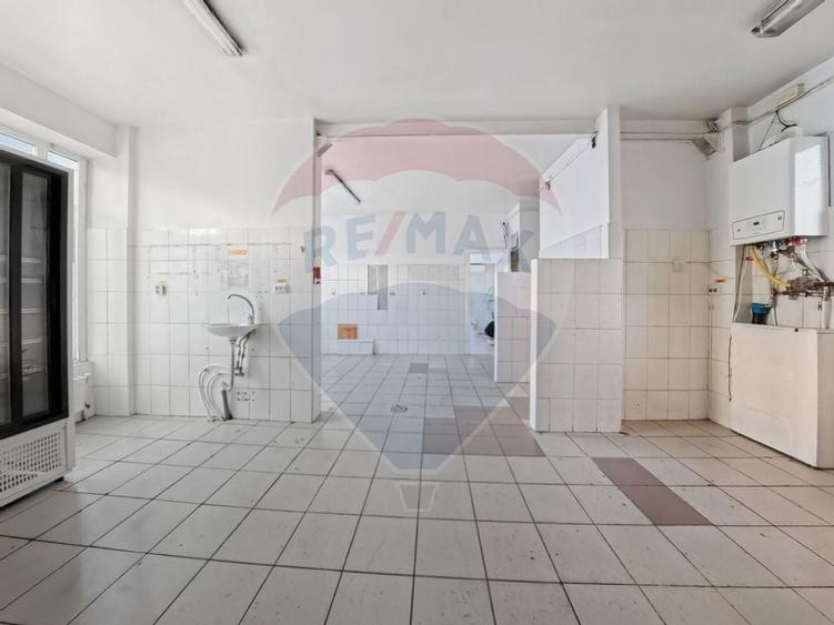 Cladire individuala 243 mp de inchiriat pe strada Mioritei - 6