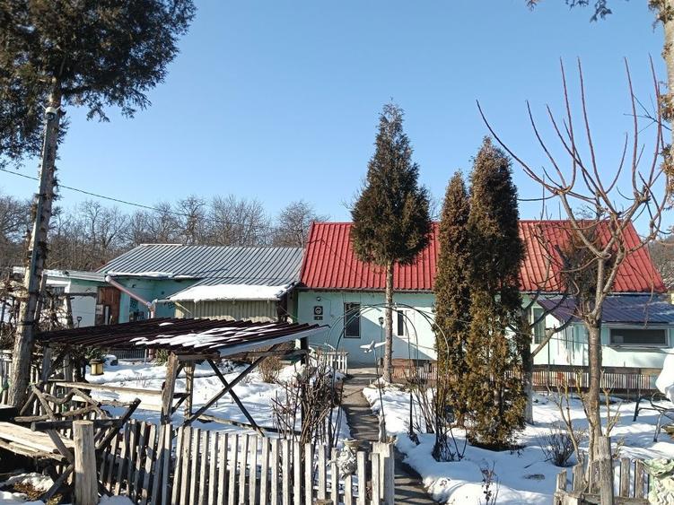 Casa de vanzare in Tichindeal - 7