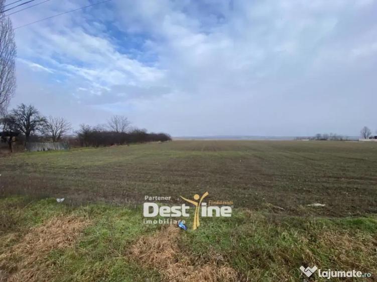 Teren de vanzare Girov- Doina 7200MP 140000 - 1