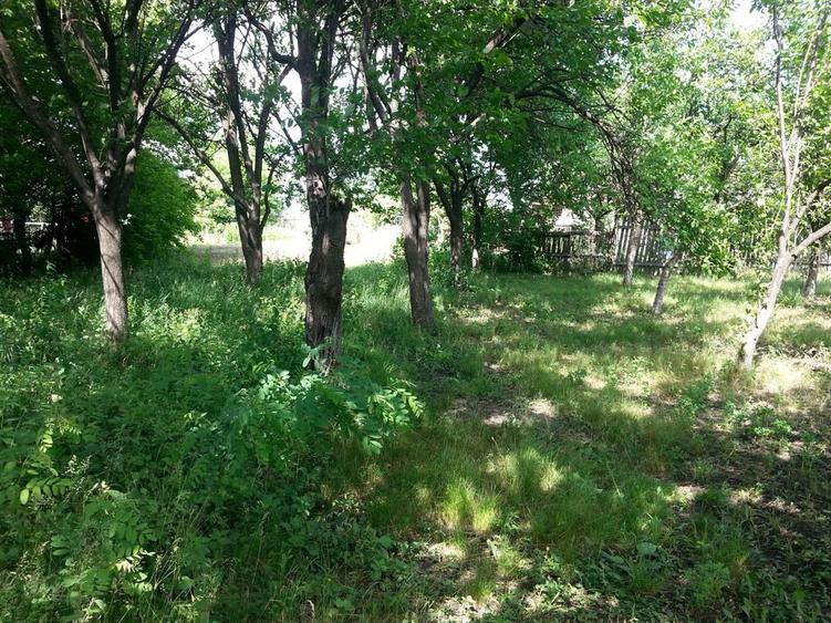 Vand teren mun. Ploiesti, str. Ghighiului. - 6