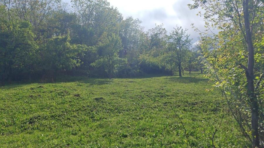 Teren Breaza 4400 mp - 1