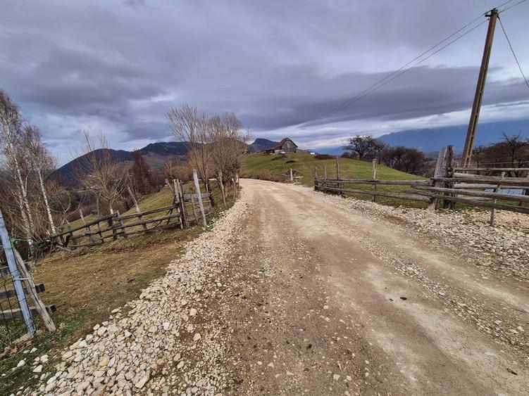 Teren cu energie speciala, Pestera/ 13570mp extravilan/Comision 0 % - 7