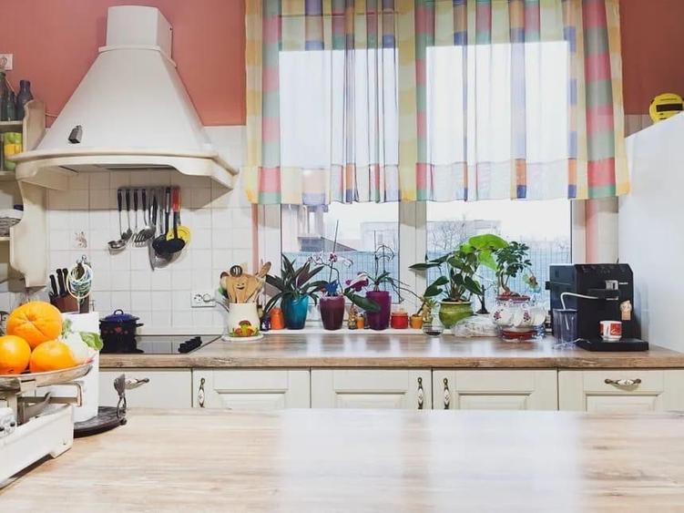 Casa pet friendly de inchiriat Sacalaz Timis - 3