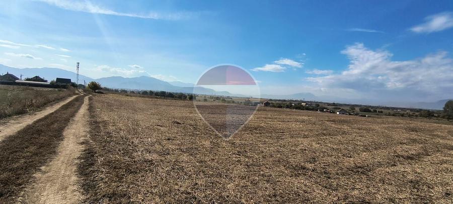 Teren agricol intravilan de 478 mp, în Sânpetru