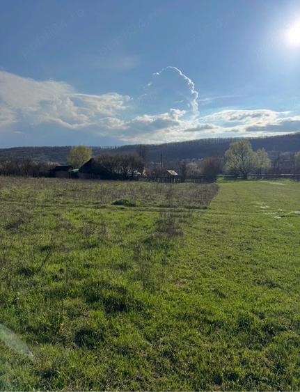 Teren de 6600 mp, în Drăganu