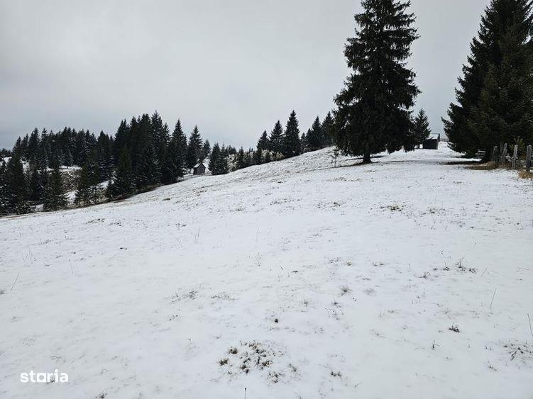 Teren de 25731 mp, în Breaza