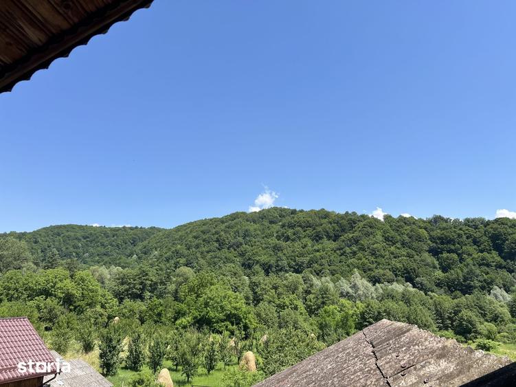 Investitie Turism | Casa | 5164 mp teren | Lac Propriu | Malu cu Flori - 3