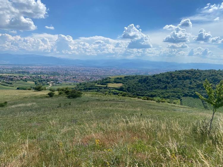 Teren Construcții extravilan de 4664 mp, în Gușterița