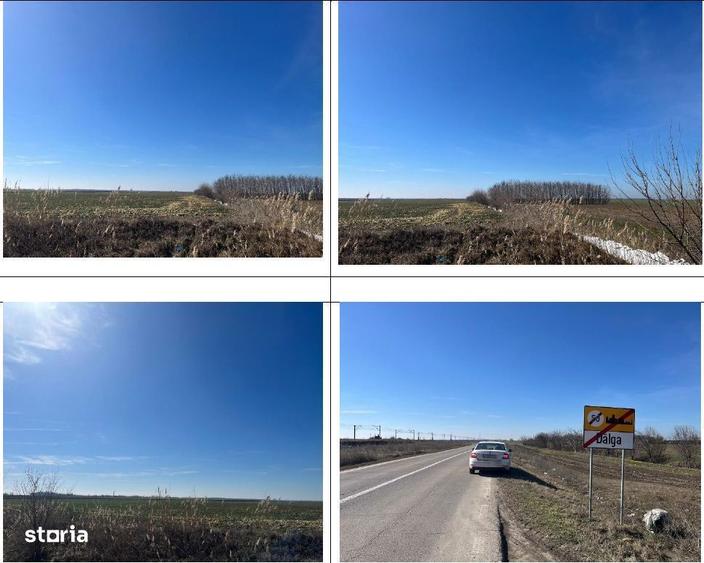 cota 1/2 din teren extravilan-Loc. Dor Marunt, jud Calarasi, - 5