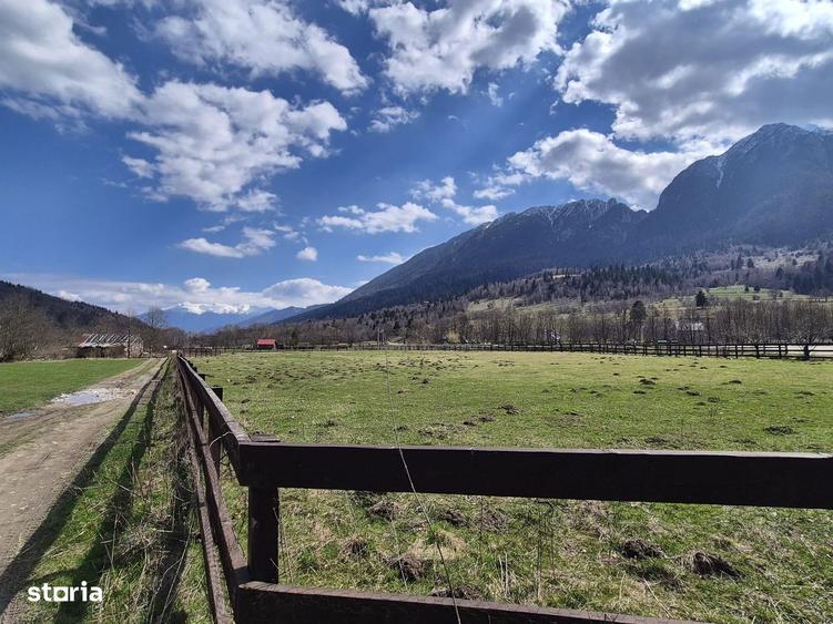 Teren intravilan cu vedere la munte, 1200 mp, acces usor, Plaiul Foii - 9