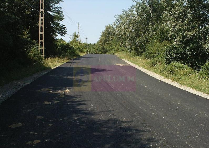 Teren intravilan de vanzare in Telega - 14