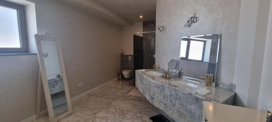 PIPERA IANCU NICOLAE VILA LUX RENOVATA COMPLET 2022 - 59