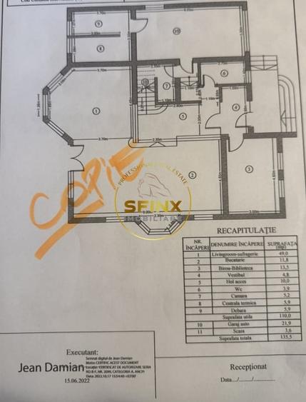 Casa 6 Camere, gradina spectaculoasa, Erou Iancu Nicolae - 9