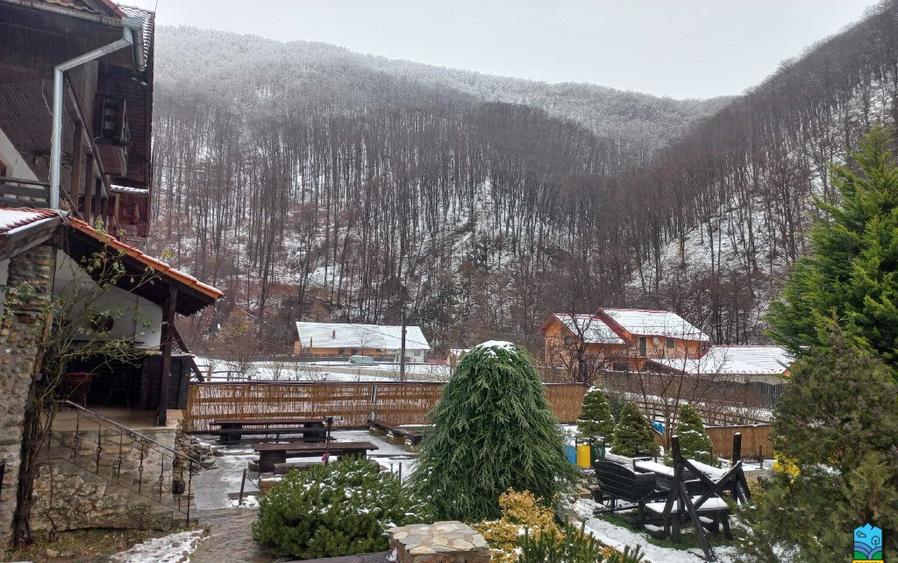 Pensiune 8 dormitoare Gureni, Gorj - 11