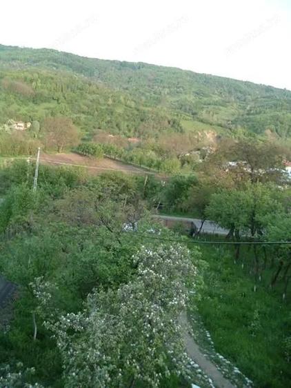 Vanzare sau Schimb! Central Drajna de Jos 5000 mp - 3