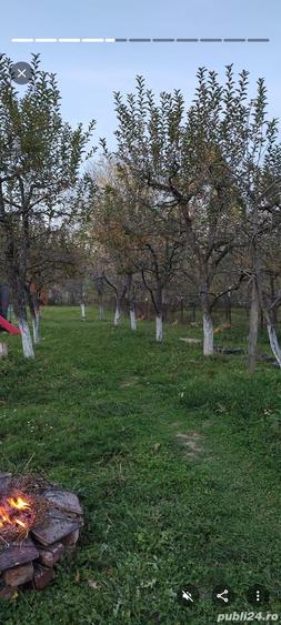 Vand casa cu livada - 3