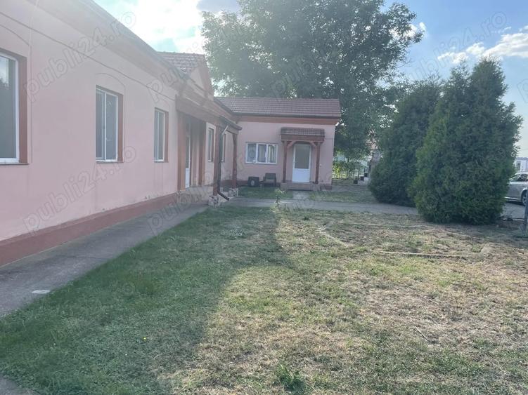 Vand casa caramida Peciu Nou - 4