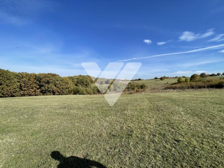 Teren extravilan 1342 mp zona linistita – Rasinari - Sibiu - 5