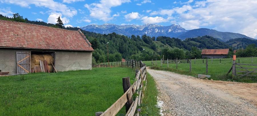 Pensiune - Moeciu de Jos - sat Simon - D+P+ 2 etaje+ M - 6