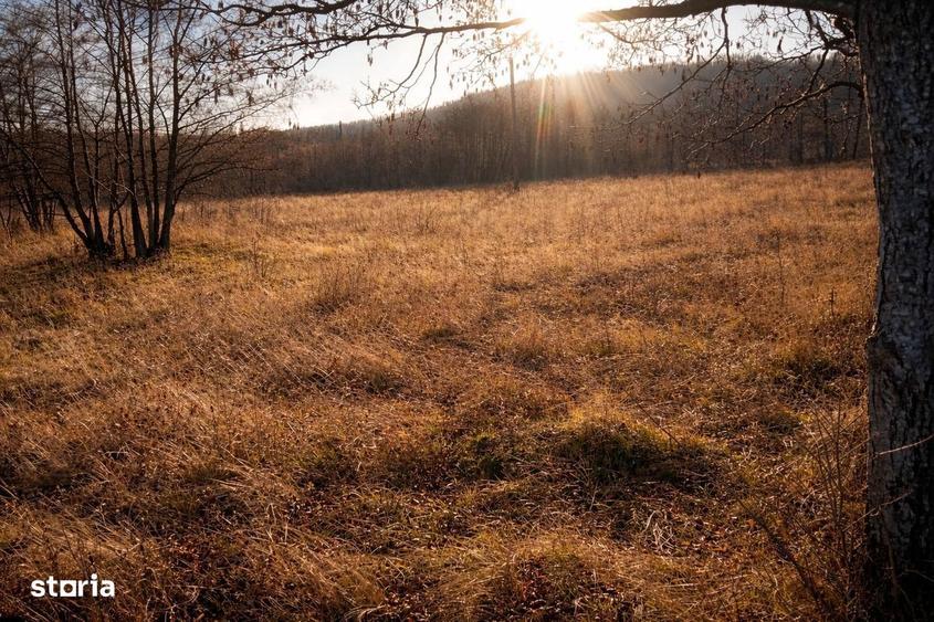 Teren extravilan | Vicovu de Jos | Pre? 25.000 - 9