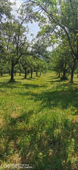 Casa de vanzare! - 4