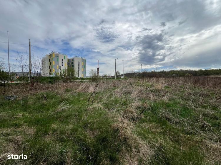 Vand Teren Mioveni, langa Spital, la asfalt - 3