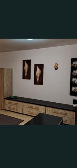 Garsoniera moderna- Tractorul - 5