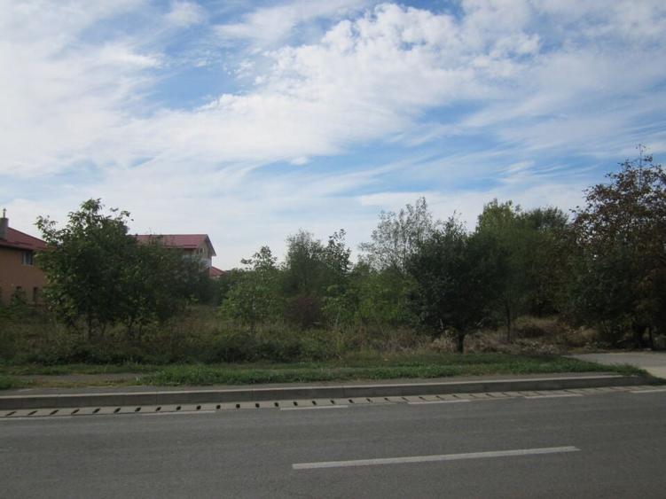 Domnesti Ciutaci-Zorelelor - 3