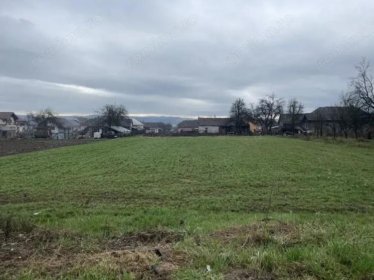Teren de 1065 mp, în Cuzdrioara