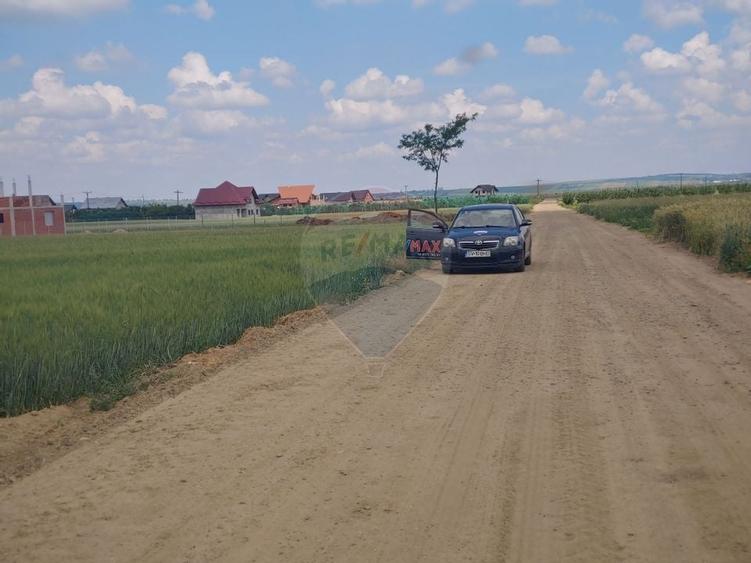 Teren intravilan 6,600mp Dumbraveni / Strada Principala spre Veresti - 2