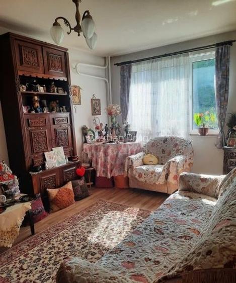 Apartament 2 camere Salajan