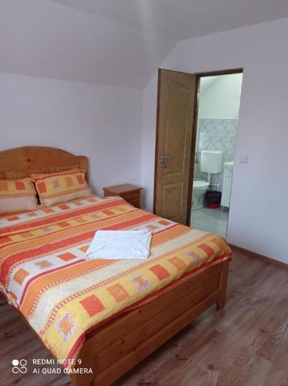 Pensiune in Ciocanesti judetul Suceava - 6