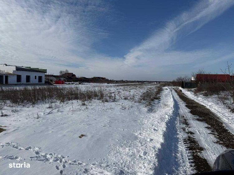 vand teren in domnesti - 1