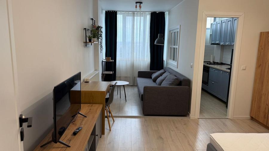 Garsonieră renovată complet I 31 mp I  etaj 7/10 I zona Iulius Mall - 1