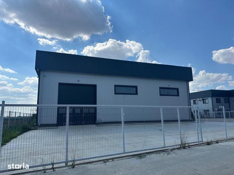 Hale noi 444 mp Domnesti- Centura Bucuresti - 1