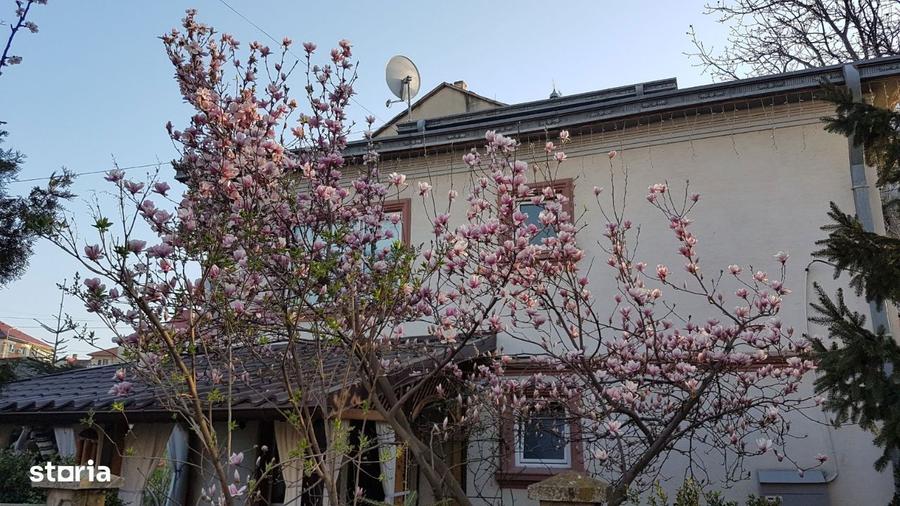 Case de vanzare - 9