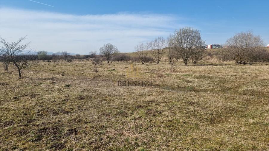 FĂRĂ COMISION | TEREN 1000 MP ȘELIMBĂR ZONA TROIȚĂ | INVESTIȚIE - 10