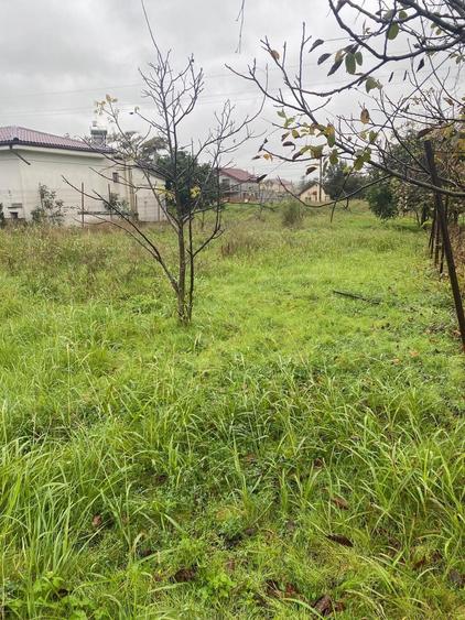 Teren intravilan Tuzla 665 mp aproape de plaja - 7