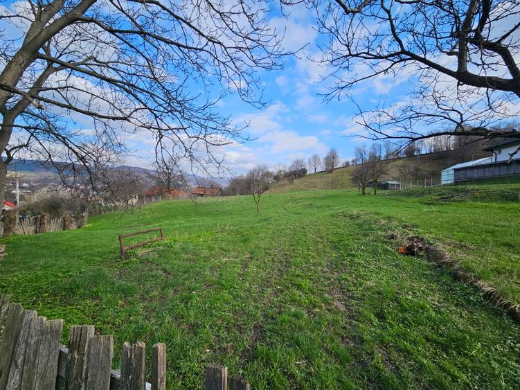 Teren intravilan Comanesti Bacau cu utilitati - 5
