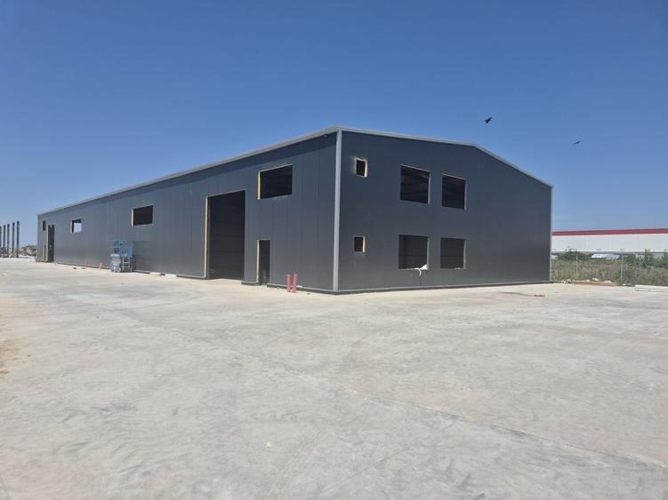 Hale de Inchiriat 600 mp Chitila - 5