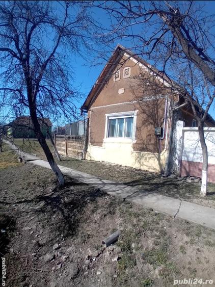 Vand casa - 5