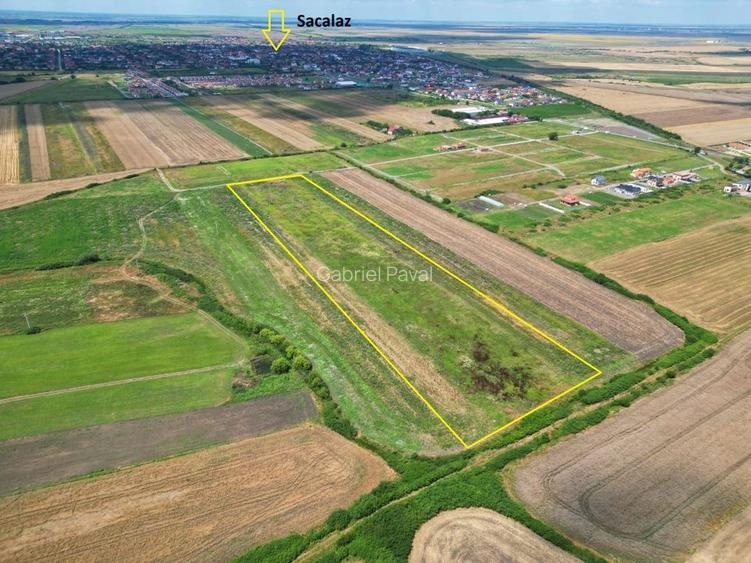 Teren Sacalaz 3,6 Ha - Pretabil PUZ Locuinte