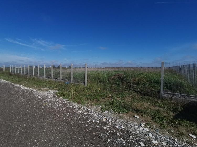 Dumbravita teren industrial 2581 mp - 4