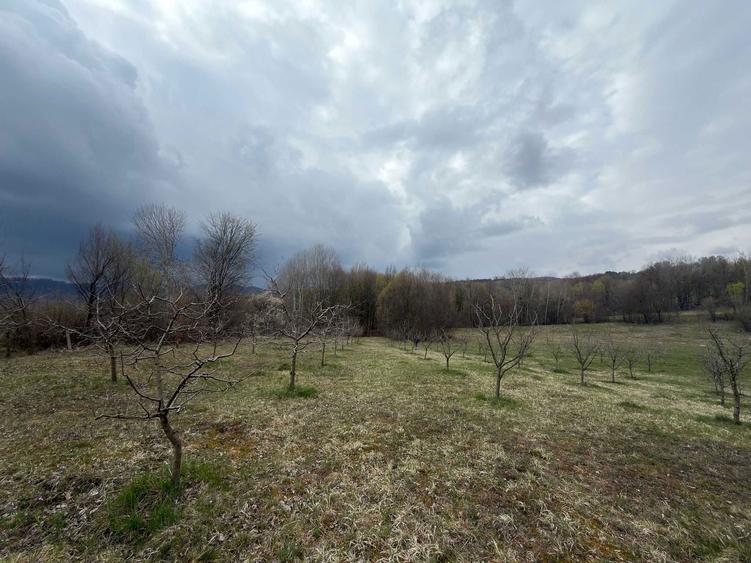 Teren / gradina de vanzare in Barbuletu, judetul Dambovita 8055 mp - 1