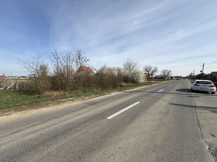 Vand Teren intravilan pt parcelare 86 Ari la intrare in Vetis - 4