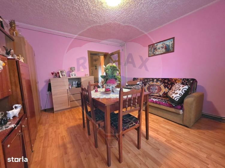Casa pe strada Prefect Vasile Molovan- Tarnaveni - 16