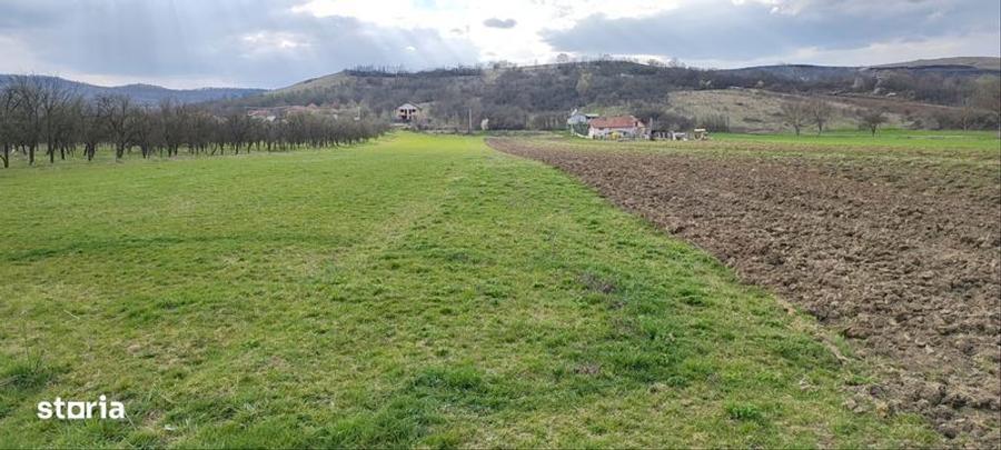 Teren extravilan situat intre case,intrare sat Maceu - 2